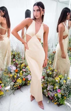 BB Exclusive Orchid Champagne Maxi Dress Dresses