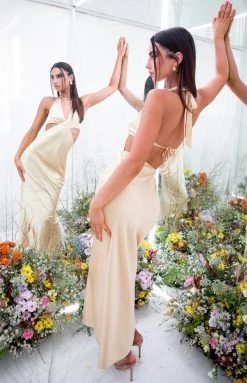 BB Exclusive Orchid Champagne Maxi Dress Dresses