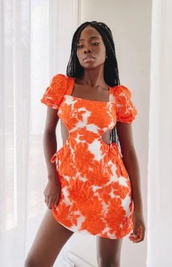 Beginning Boutique Polly Mini Dress Floral Orange Dresses