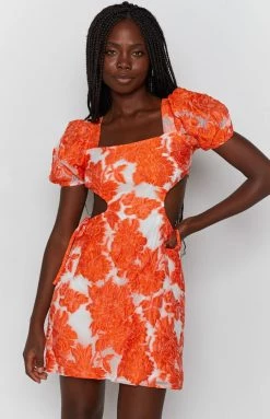 Beginning Boutique Polly Mini Dress Floral Orange Dresses