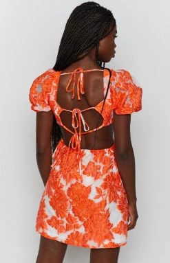 Beginning Boutique Polly Mini Dress Floral Orange Dresses