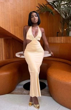 BB Exclusive Orchid Champagne Maxi Dress Dresses